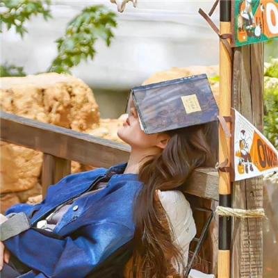 反叛的鲁路修夺还的罗赛